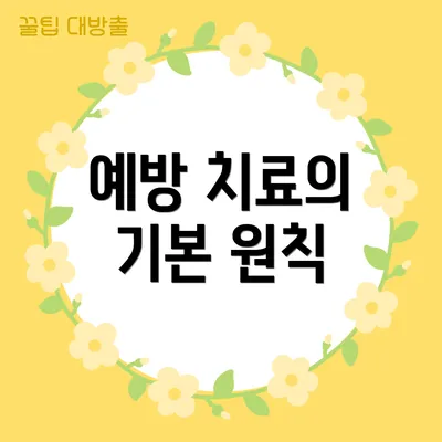 예방 치료의 기본 원칙