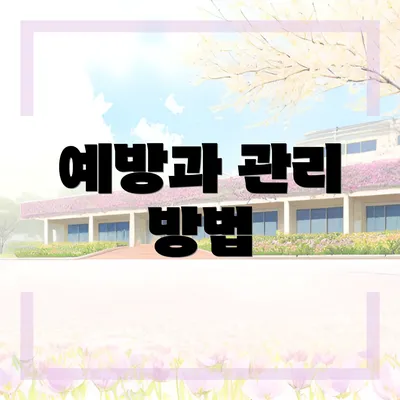 예방과 관리 방법