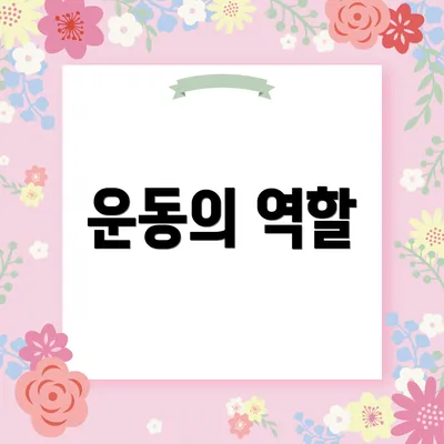 운동의 역할