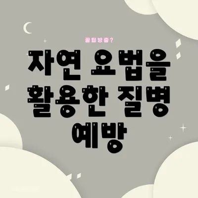 자연 요법을 활용한 질병 예방