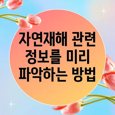 자연재해 관련 정보를 미리 파악하는 방법