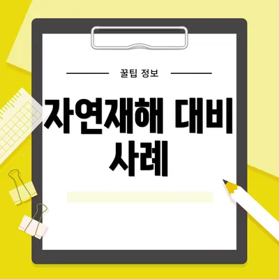 자연재해 대비 사례