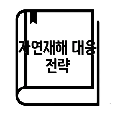 자연재해 대응 전략