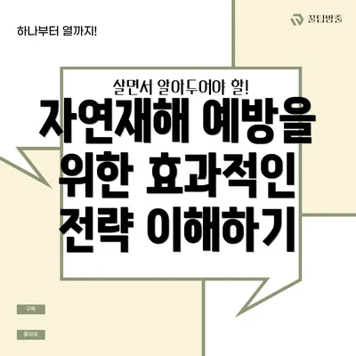 자연재해 예방을 위한 효과적인 전략 이해하기
