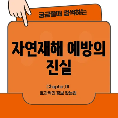 자연재해 예방의 진실