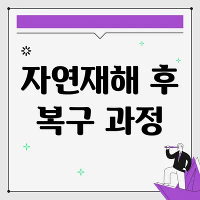 자연재해 후 복구 과정
