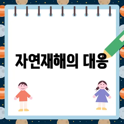 자연재해의 대응