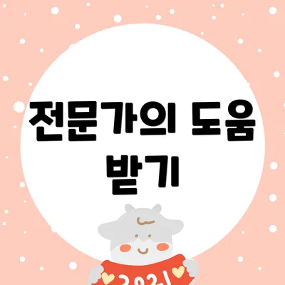 전문가의 도움 받기