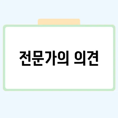 전문가의 의견