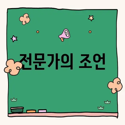 전문가의 조언