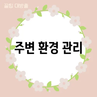 주변 환경 관리