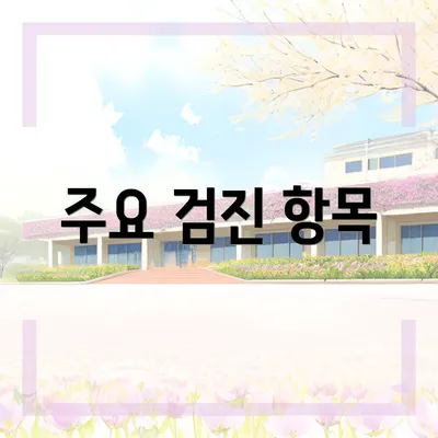 주요 검진 항목