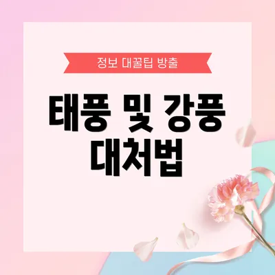 태풍 및 강풍 대처법