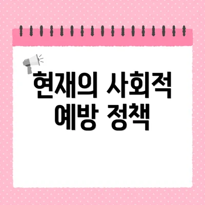 현재의 사회적 예방 정책