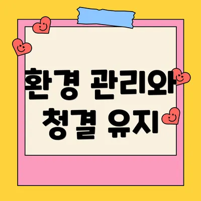 환경 관리와 청결 유지