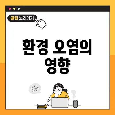 환경 오염의 영향