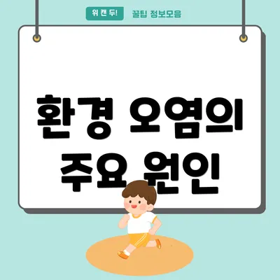 환경 오염의 주요 원인