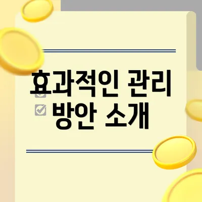 효과적인 관리 방안 소개