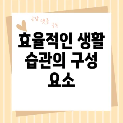 효율적인 생활 습관의 구성 요소