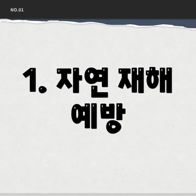 1. 자연 재해 예방