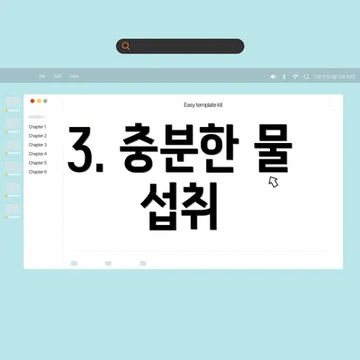 3. 충분한 물 섭취