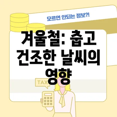 겨울철: 춥고 건조한 날씨의 영향