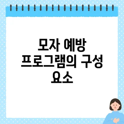 모자 예방 프로그램의 구성 요소