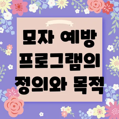 모자 예방 프로그램의 정의와 목적