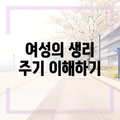 여성의 생리 주기 이해하기