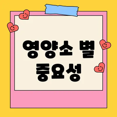 영양소 별 중요성
