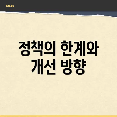 정책의 한계와 개선 방향