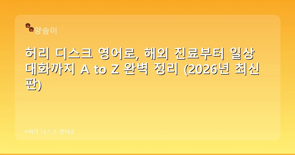 허리 디스크 영어로 - babyyang.kr 캐릭터