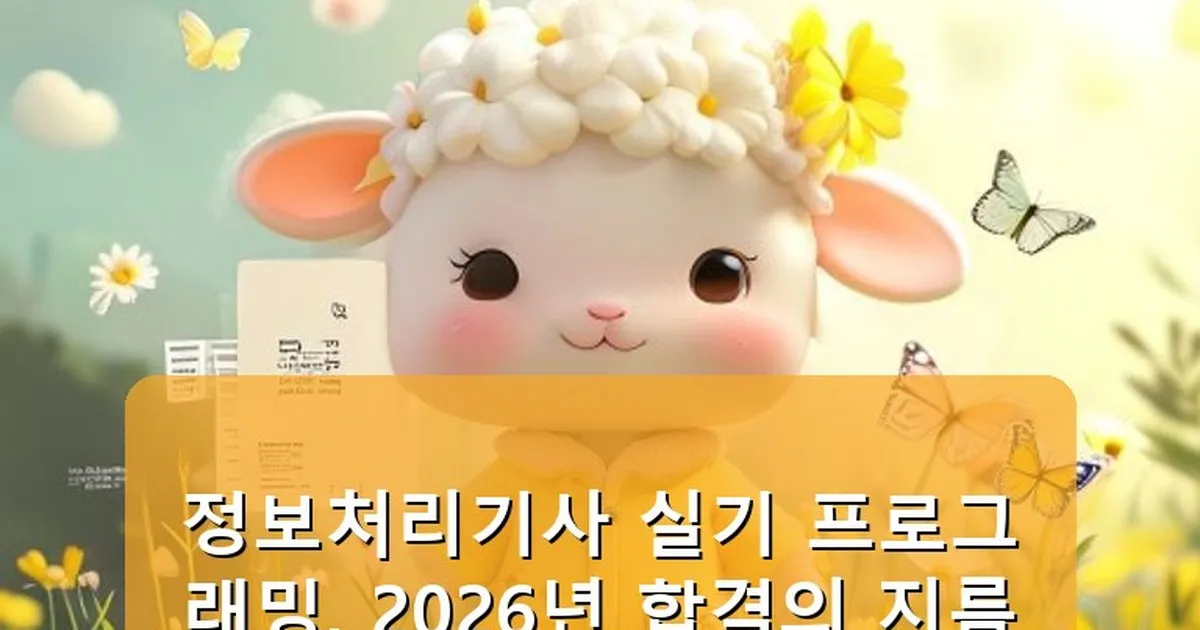 정보처리기사 실기 프로그래밍 공부법 - babyyang.kr 캐릭터
